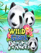 แนะนำสล็อต xo เกมส์ ไหน ดี โบนัส แตก บ่อย 2020 เล่นมันส์ๆ